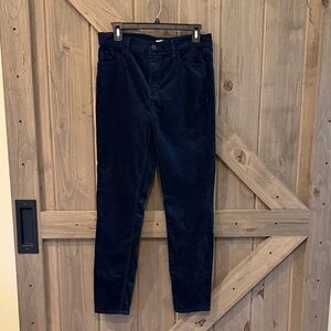 Loft Women’s Size 8 Velvet Dark Blue Pant